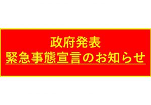 新着情報